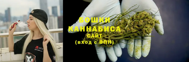 Каннабис OG Kush  Катайск 